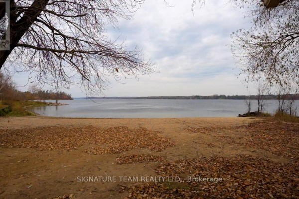 View of the lake from the beach, with sandy shore and autumn foliage. - Lot 2 Bonnechere Street, Whitewater Region