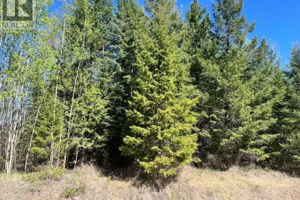 Lot 2 Bourgeois Road, Quesnel, BC V2J6B9 Photo 2