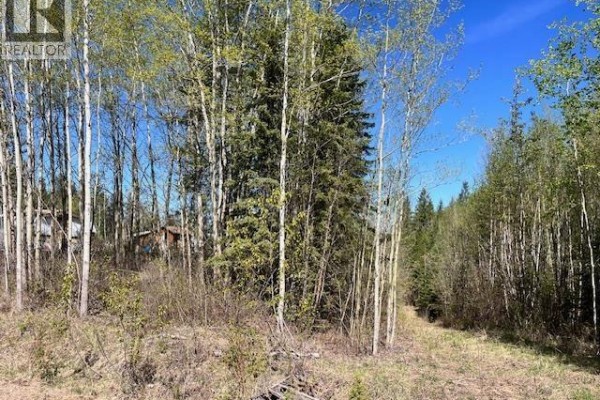 Lot 2 Bourgeois Road, Quesnel, BC V2J6B9 Photo 4