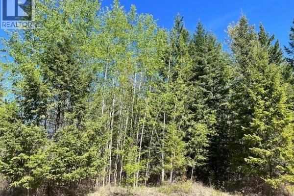 Lot 2 Bourgeois Road, Quesnel, BC V2J6B9 Photo 5