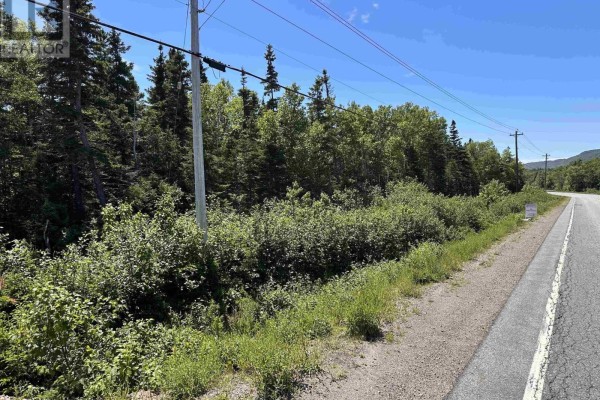 Lot 2 Cabot Trail, Birch Plain, NS B0C1H0 Photo 4