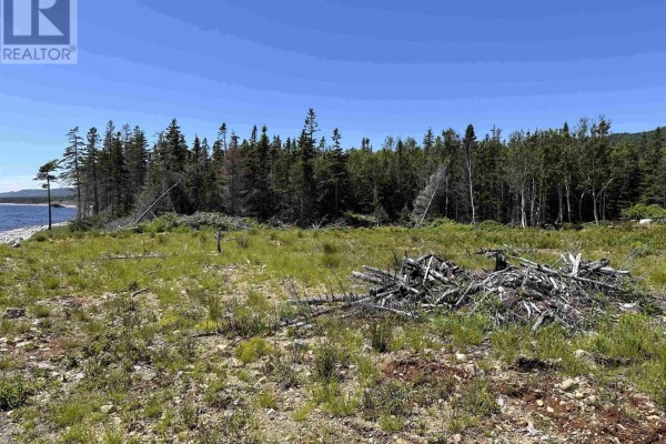 Lot 2 Cabot Trail, Birch Plain, NS B0C1H0 Photo 5