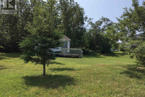 A white shed is visible through the trees in a large grassy area with a small evergreen in the foreground. - Lot 2 Cabot Trail, La Prairie