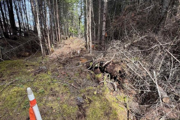 Lot 2 Conrod Beach Road E, Lower East Chezzetcook, NS B0J2L0 Photo 2