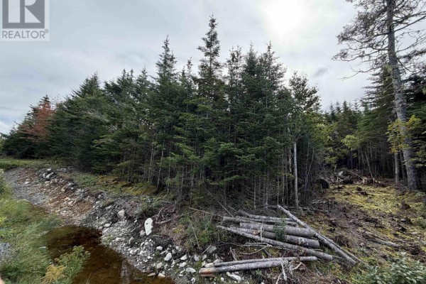 Lot 2 Conrod Beach Road E, Lower East Chezzetcook, NS B0J2L0 Photo 3