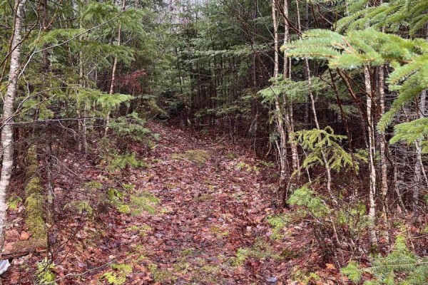 Lot 2 Coxheath Road, Northside East Bay, NS B1J1L8 Photo 4