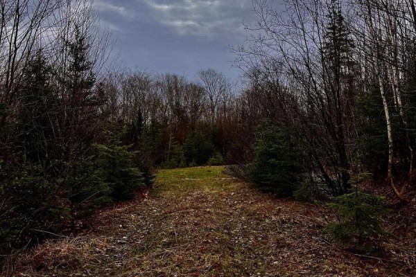 Lot 2 Coxheath Road, Northside East Bay, NS B1J1L8 Photo 5