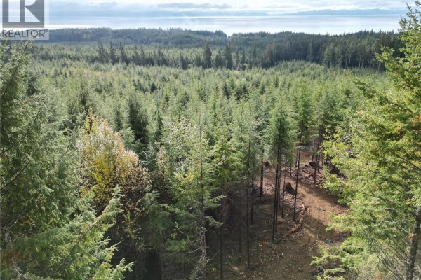 View from above showing dense forest with a clearing and distant ocean view. - Lot 2 Creekside Glen, Sooke