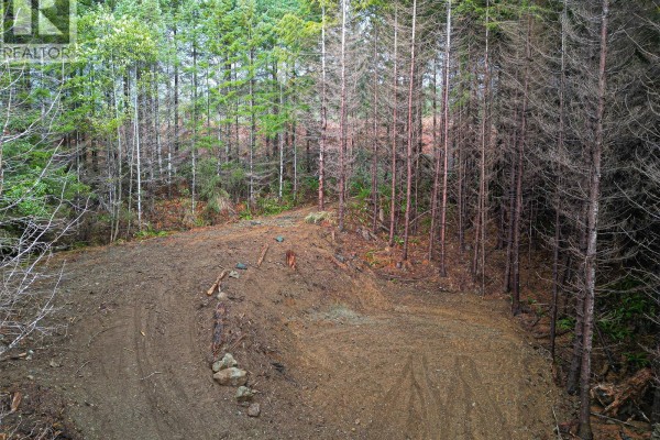 Cleared area in the forest with dirt path and surrounding trees. - Lot 2 Creekside Glen, Sooke