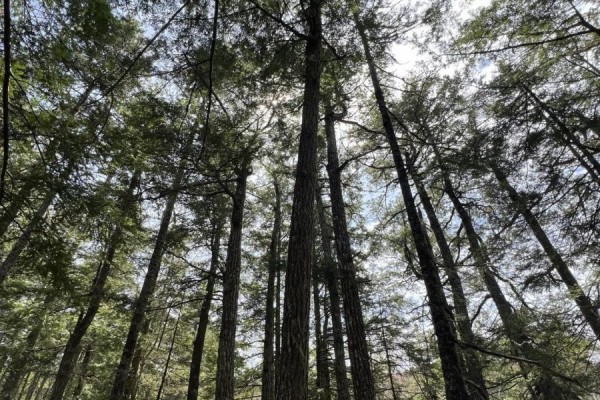 Lot 2 Deer Point Road, Labelle, NS B0T1E0 Photo 3