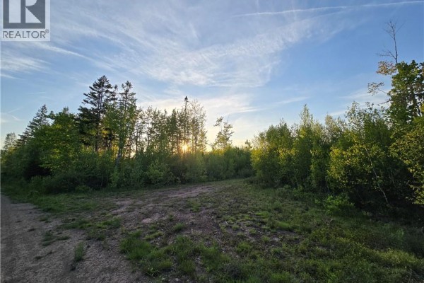 Overcast sky over a dirt clearing surrounded by green trees with the sun peeking through. - Lot 2 Dingley Road, Head Of Millstream
