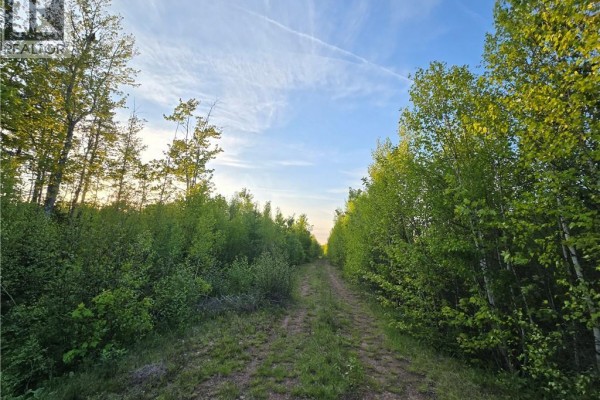 A long dirt track through green trees under a blue sky with wispy clouds and setting sun. - Lot 2 Dingley Road, Head Of Millstream