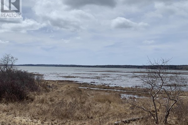 Lot 2 Ditcher Road, Wedgeport, NS B0W2B0 Photo 2