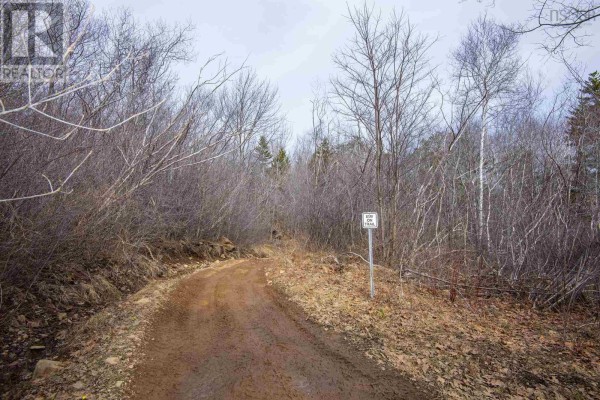 Lot 2 Flat Iron Road, Conway, NS B0V1A0 Photo 5