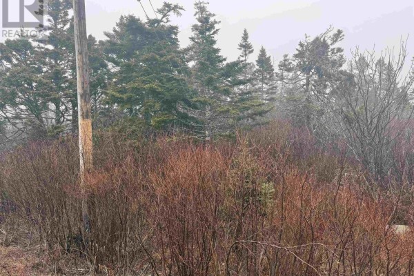 Lot 2 Forbes Point Road, Forbes Point, NS B0W2A0 Photo 4
