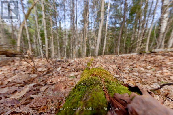 Lot 2 Foymount Road, Bonnechere Valley, ON K0J1W0 Photo 5