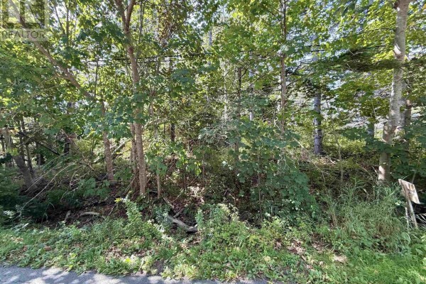 Lot 2 Green Bay Road, Green Bay, NS B0J2P0 Photo 3