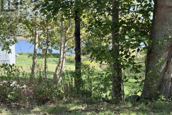 Lot 2 Green Bay Road, Green Bay, NS B0J2P0 Photo 4