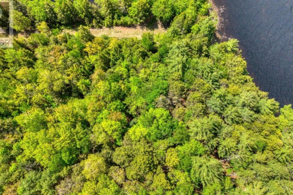 Lot 2 Handley's Point Road, Molega, NS B0T1E0 Photo 3