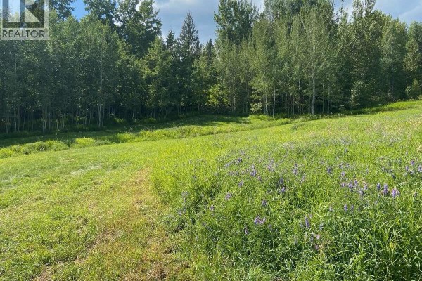 Lot 2 Happy Valley Road, Rossland, BC, photo 2