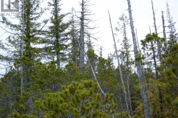 Lot 2 Highway 16, Daajing Giids Rural, BC, photo 3
