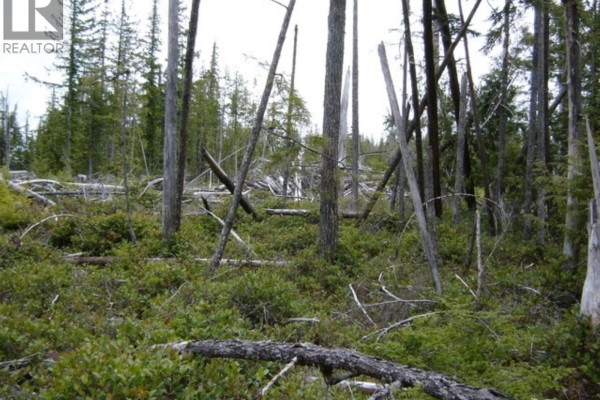 Lot 2 Highway 16, Daajing Giids Rural, BC V0T1R0 Photo 4