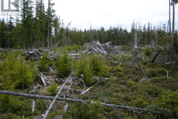 Lot 2 Highway 16, Daajing Giids Rural, BC V0T1R0 Photo 5