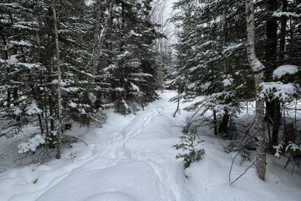 Lot 2 Highway 289, Middle Stewiacke, NS B0N1C0 Photo 2