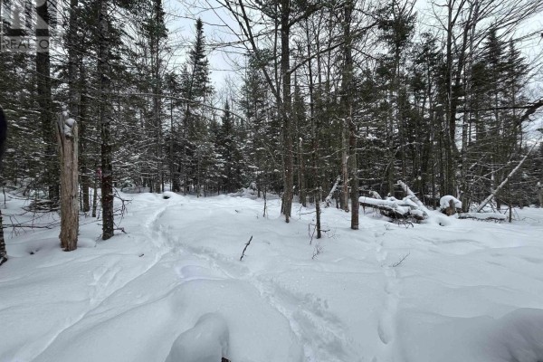 Lot 2 Highway 289, Middle Stewiacke, NS B0N1C0 Photo 4