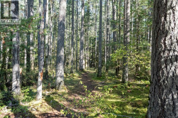 Lot 2 Hilliers Rd, Qualicum Beach, BC V9K2H9 Photo 2