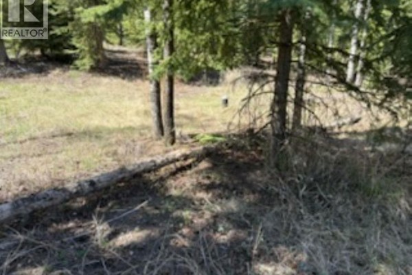 Lot 2 Horse Lake Road, 100 Mile House, BC, photo 3