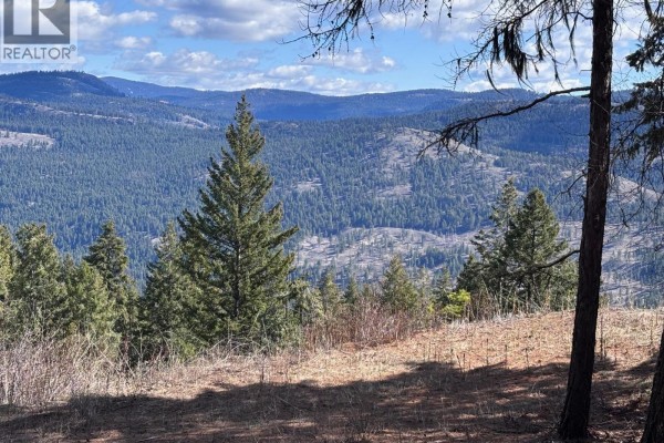 Lot 2 Hulme Creek Road, Rock Creek, BC V0H1Y0 Photo 3