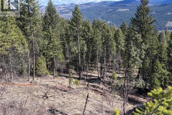 Lot 2 Hulme Creek Road, Rock Creek, BC V0H1Y0 Photo 4