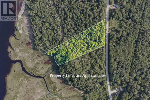Lot 2 Jordan Branch Road, Jordan Branch, NS B0T1W0 Photo 2