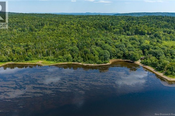 Overhead view of a wooded lot outlined with black lines, adjacent to a lake and a road. - Lot #2 Joseph Long Road, Summerville