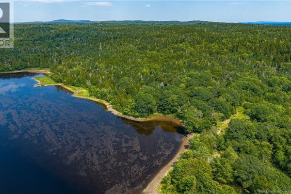 Aerial shot of two outlined lots situated between a lake and a forested area with distant hills. - Lot #2 Joseph Long Road, Summerville