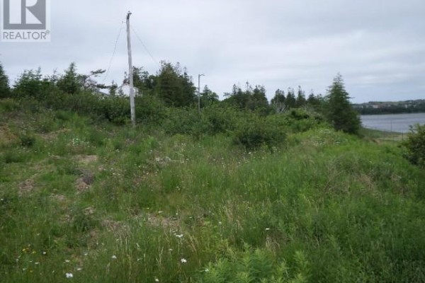 Lot 2 Junction Pond Unit#lot 2, Whitbourne, NL A0B3K0 Photo 5