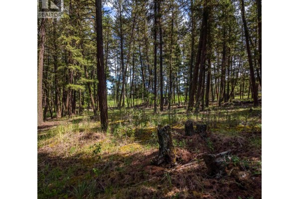 Aerial view of the treed property and surrounding landscape with scattered houses and fields. - Lot 2 Lac La Hache Station Road, Lac La Hache