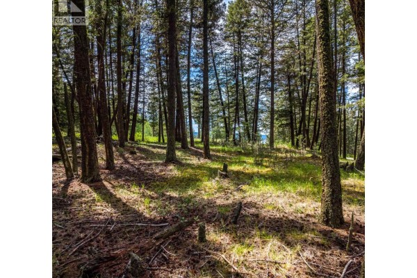 Top-down view of the treed property lot outlined in red with a house and road nearby. - Lot 2 Lac La Hache Station Road, Lac La Hache