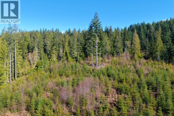 Lot 2 Lockyer Road, Roberts Creek, BC V0N2W1 Photo 5