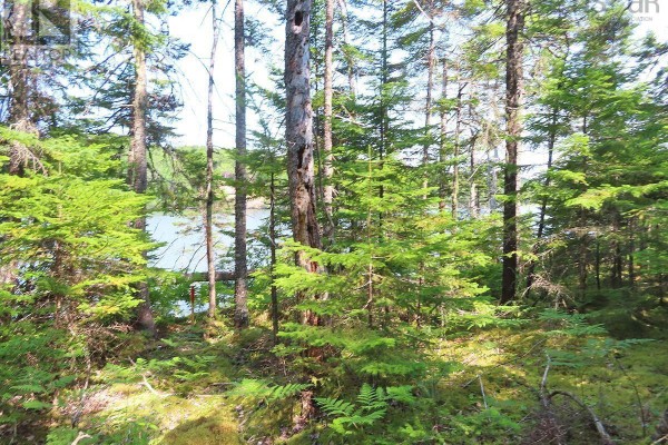 Lot 2 Lower River Road, Hureauville, NS, photo 3