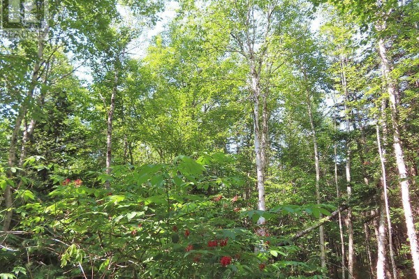 Lot 2 Lower River Road, Hureauville, NS B0E1J0 Photo 4