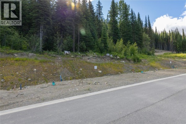 Lot 2 Mcgillivray Lake Drive, Sun Peaks, BC V0E5N0 Photo 3
