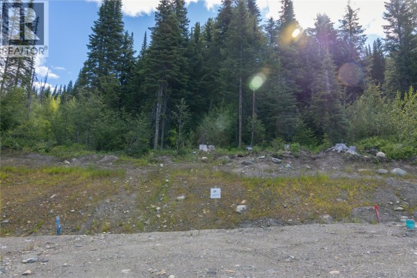 Lot 2 Mcgillivray Lake Drive, Sun Peaks, BC V0E5N0 Photo 5