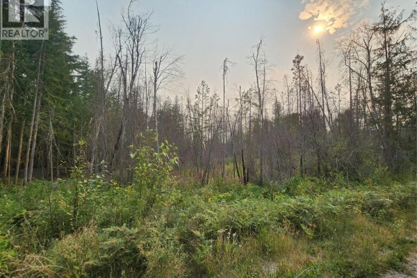Lot 2 Meadow Creek Road, Celista, BC V0E1M6 Photo 2