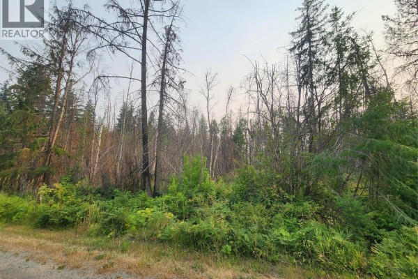 Lot 2 Meadow Creek Road, Celista, BC V0E1M6 Photo 3