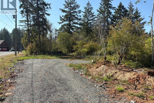 Lot 2 Mersey Rd, Port Alberni, BC V9Y8W4 Photo 2