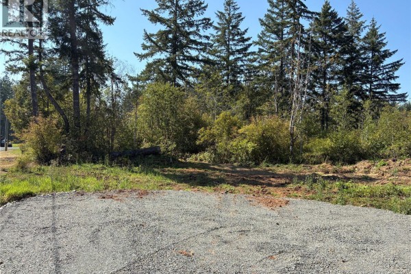 Lot 2 Mersey Rd, Port Alberni, BC V9Y8W4 Photo 3