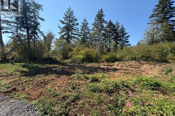 Lot 2 Mersey Rd, Port Alberni, BC V9Y8W4 Photo 4