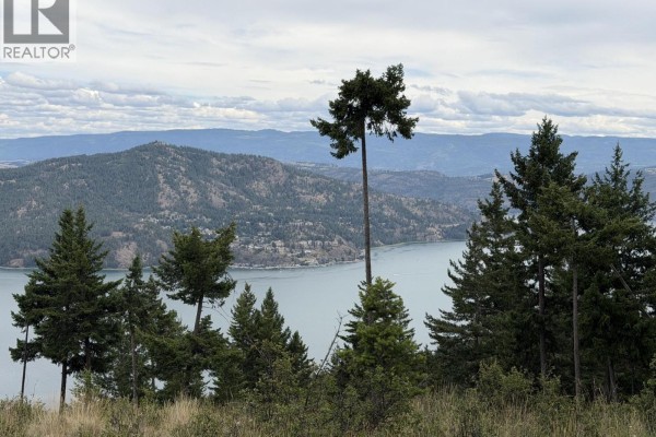 Lot 2 Nashwito Road, Vernon, BC V1H2G7 Photo 3